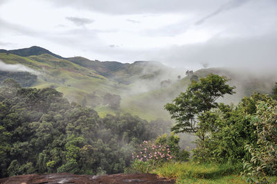 Overview of forest and hills shrouded by mist and clouds near the town of joanopolis. brazil