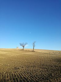 Scenic view of field against clear blue sky