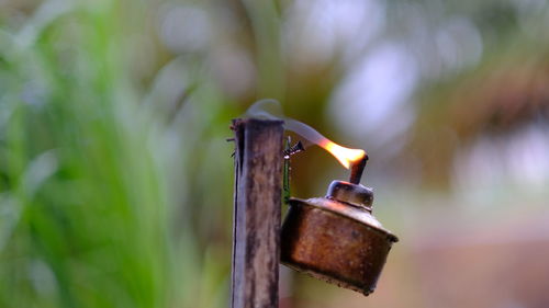 Close-up of fire against blurred background