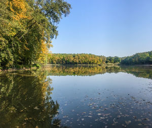 Scenic view of lake in forest against clear sky