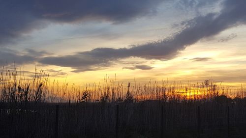 Scenic view of landscape at sunset