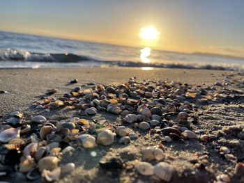 Scenic view of beach against sky during sunset