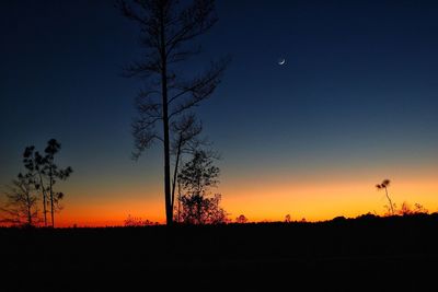 Silhouette trees against sky during sunset