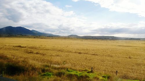 Scenic view of field against cloudy sky