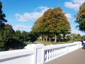 Trees in cemetery against sky