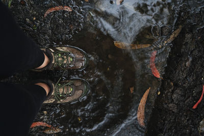 Low section of person standing on rock