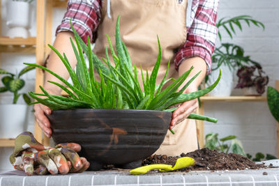 Midsection of woman holding potted plant