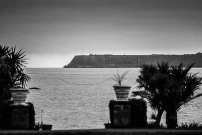 Palm trees by sea against sky