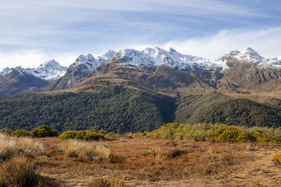 mountain