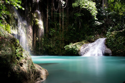 Scenic view of waterfall in forest