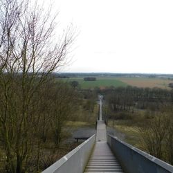 Scenic view of bare trees against clear sky