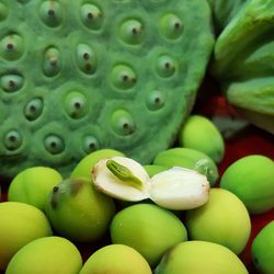 Full frame shot of prickly pear cactus