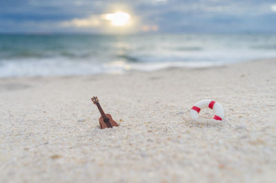 Close-up of shells on sand at beach against sky