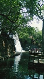 Scenic view of river amidst trees