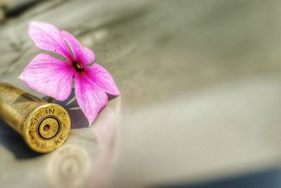 Close-up of pink flower and bullet on table