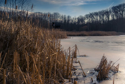 Scenic view of frozen lake against sky during winter