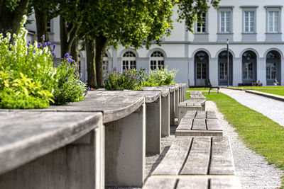 Benches and tables with flowers arranged in a row in the park, in the background a large building.