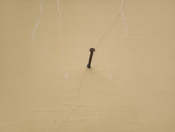 A nail in the wall