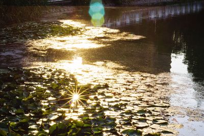 Reflection of sun in lake