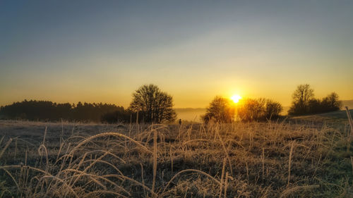 Scenic view of field against sky during sunset