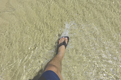 Low section of person standing in water at sea shore