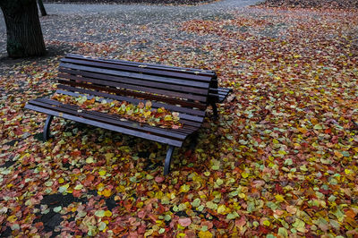 High angle view of bench in park during autumn