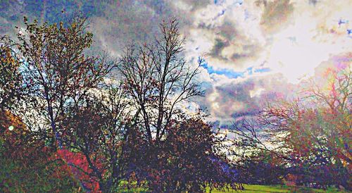 Low angle view of bare trees against cloudy sky