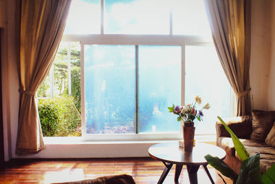 Potted plants on table by window at home