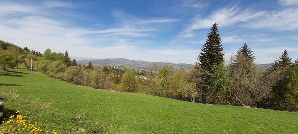 Scenic view of grassy field against sky