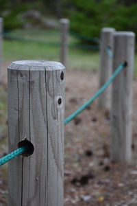 Close-up of wooden post