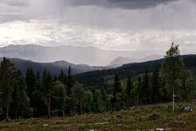 Scenic view of trees and mountains against sky