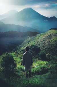 Rear view of man looking at mountains