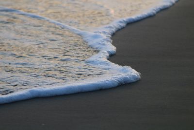 High angle view of surf on beach