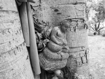 Close-up of statue against tree trunk