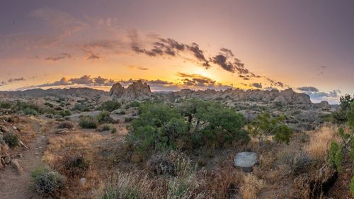 Scenic view of landscape against sky during sunset