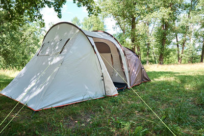 Campimg tent in pine forest in summer day. tourist camp