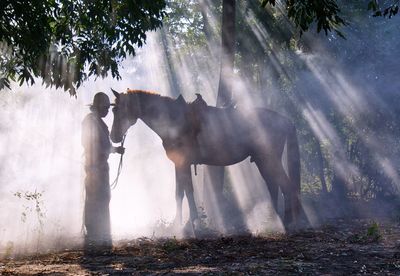 Side view of man with horse standing in smoky forest