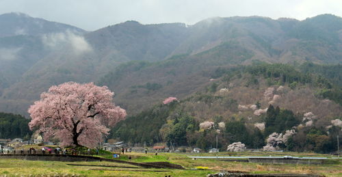 Scenic view of landscape against cloudy sky