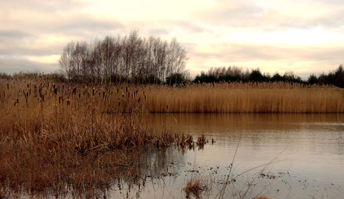 Scenic view of lake against sky during sunset