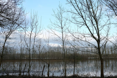 Scenic view of lake against sky during winter