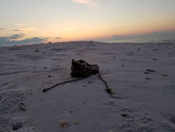 Scenic view of beach against sky during sunset