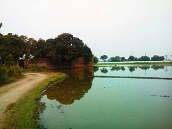 Reflection of trees in water