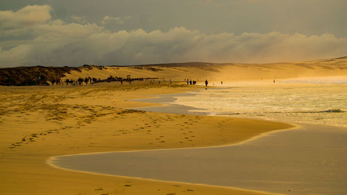 Scenic view of desert against sky