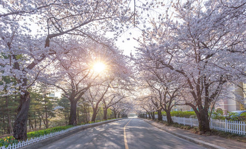 Empty road against sky
