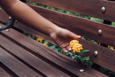 High angle view of hand holding food on wood