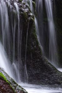 View of waterfall in forest