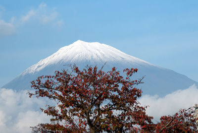 View of snowcapped mountain against sky