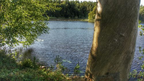 Scenic view of lake