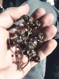 Close-up of person holding hands