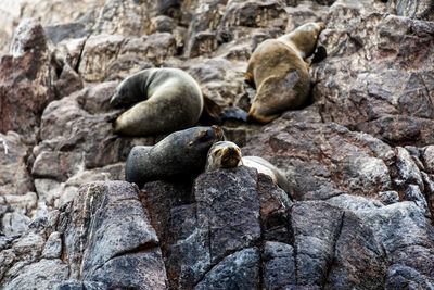 Scenic view of rocks